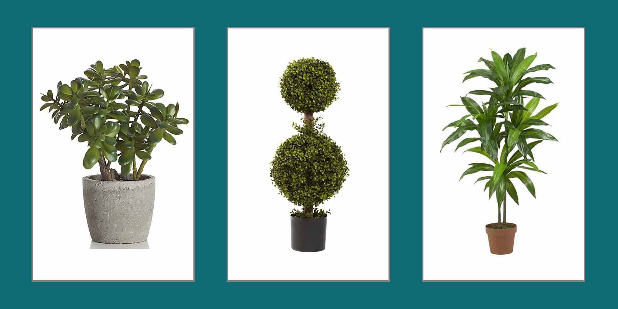 Quality Artificial Plants from China: Get Versatile Units at Affordable Prices